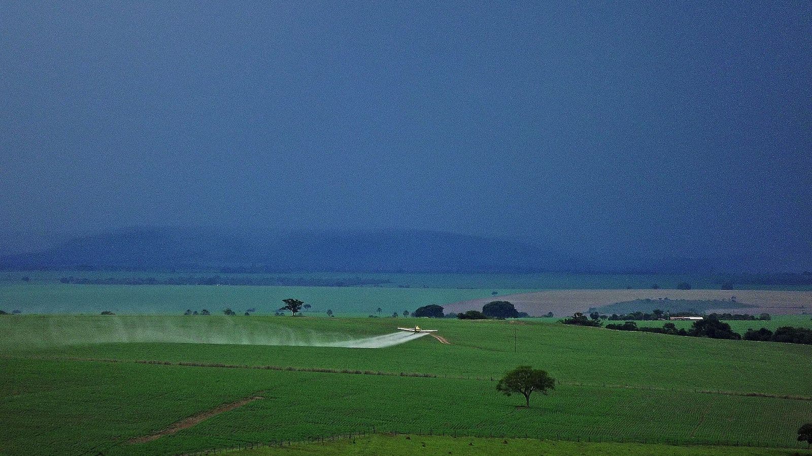 Avião agrícola amarelo voa baixo sobre lavoura de soja verde e solta uma nuvem branca de pulverização, com céu escuro de chuva ao fundo