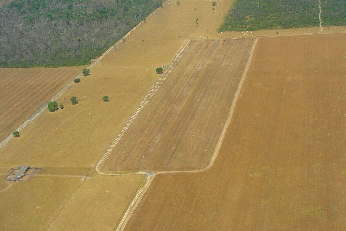 Vista aérea de talhões de terra seca e marrom preparados para o plantio, com faixas de mata ao fundo e um curral no canto inferior esquerdo.