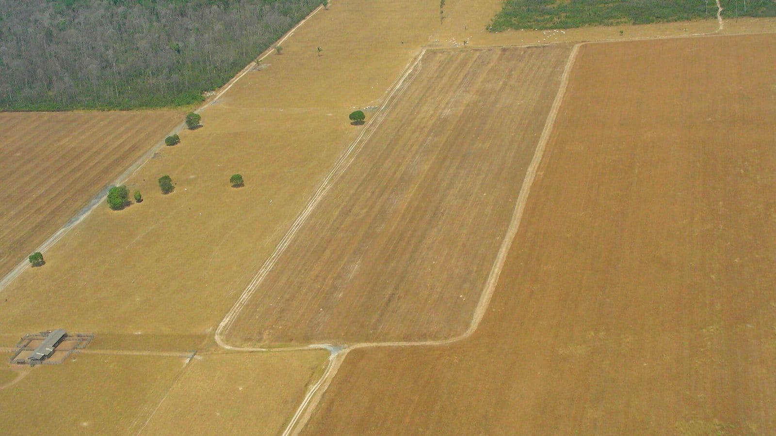 Vista aérea de talhões de terra seca e marrom preparados para o plantio, com faixas de mata ao fundo e um curral no canto inferior esquerdo.