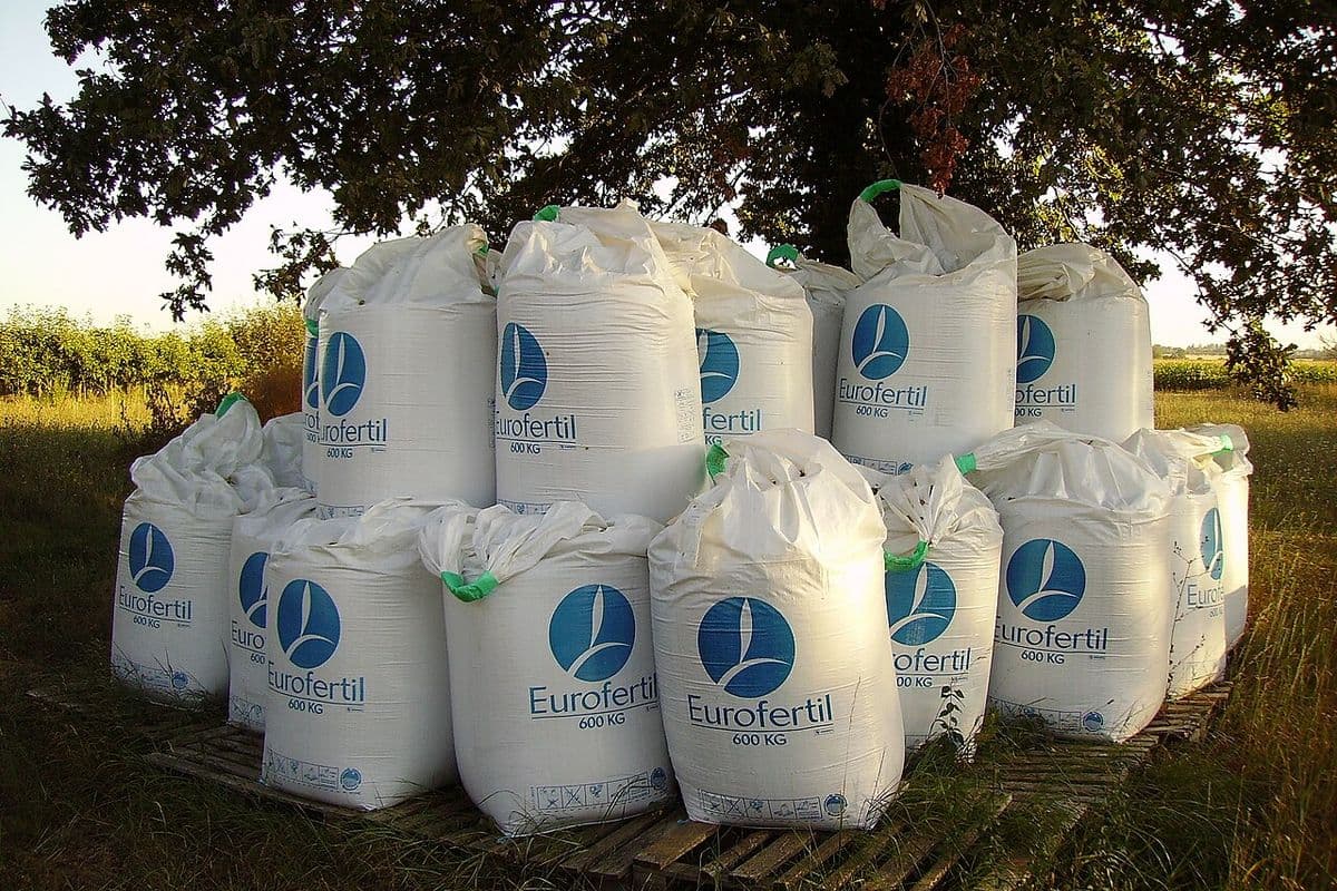Pilha de sacos brancos de fertilizante do tipo big bag, de 600 quilos cada, sobre paletes de madeira sob uma árvore, à beira de uma lavoura