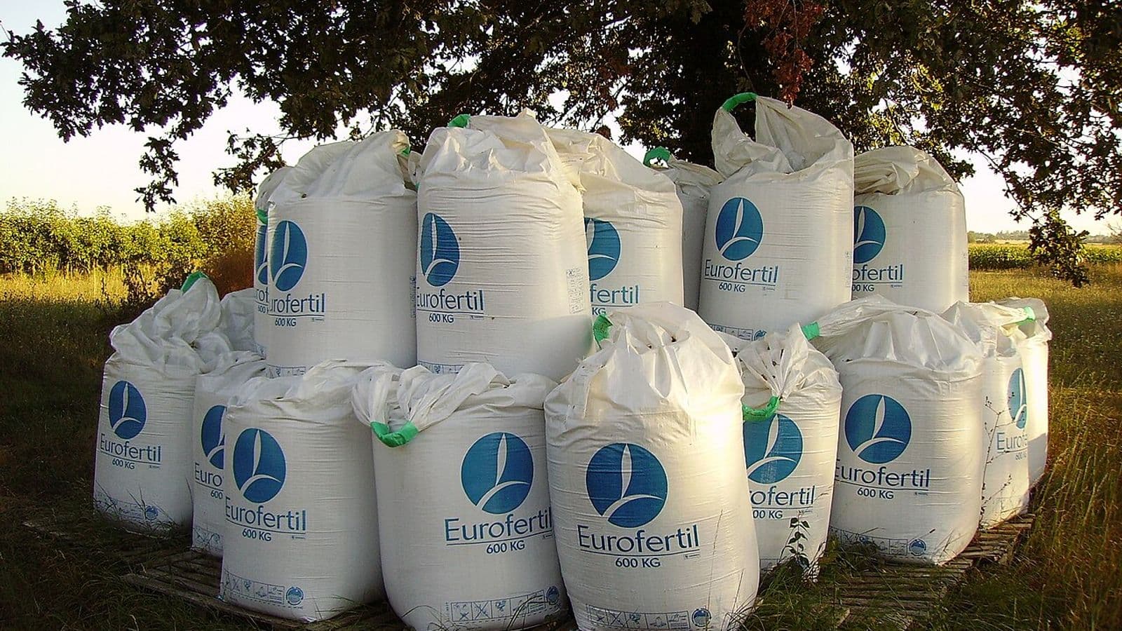 Pilha de sacos brancos de fertilizante do tipo big bag, de 600 quilos cada, sobre paletes de madeira sob uma árvore, à beira de uma lavoura