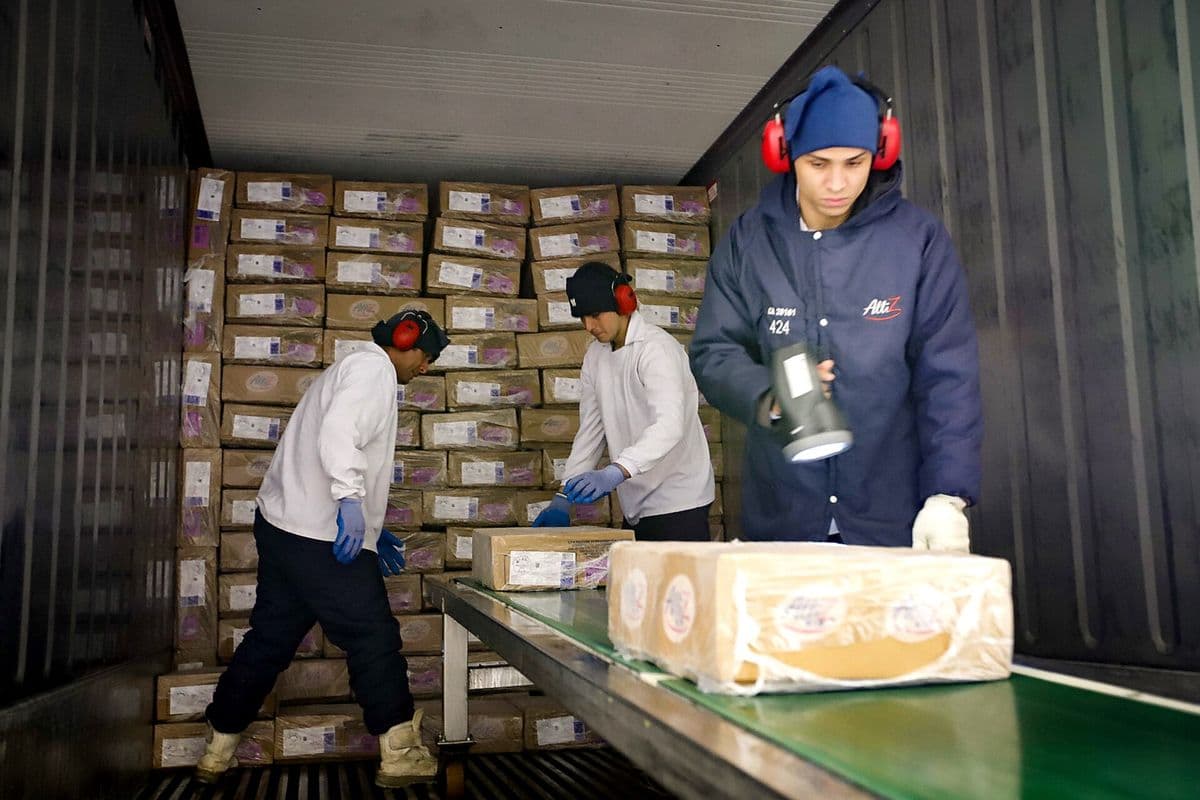 Dentro de um contêiner refrigerado forrado de caixas de papelão, dois funcionários de jaleco branco, luvas azuis e protetor auricular empilham caixas de frango congelado, enquanto um terceiro, de casaco azul e gorro, segura um leitor portátil junto a uma esteira com uma caixa.