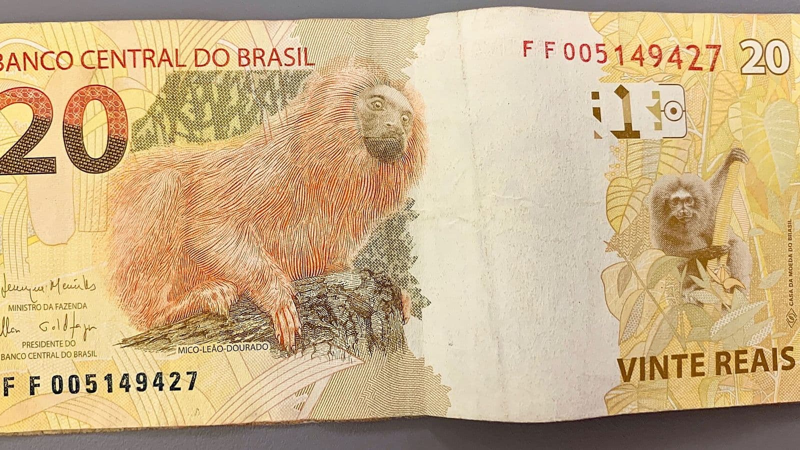 Cédula de 20 reais, amarelada e um pouco amassada, com a ilustração de um mico-leão-dourado à esquerda e a inscrição Banco Central do Brasil no alto