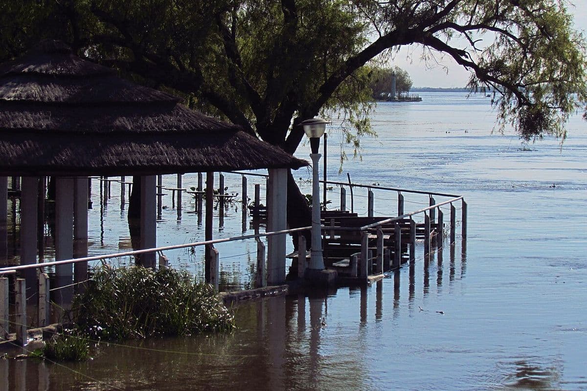 Quiosque de telhado de palha e passarela com corrimão parcialmente submersos às margens de um rio largo, sob uma árvore