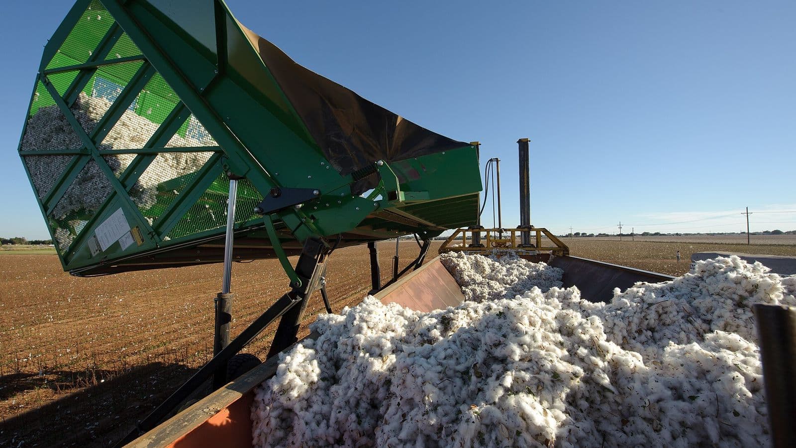 Carreta verde basculante despeja algodão colhido, em grande volume branco, numa prensa de módulos ao lado de uma lavoura já colhida, sob céu azul