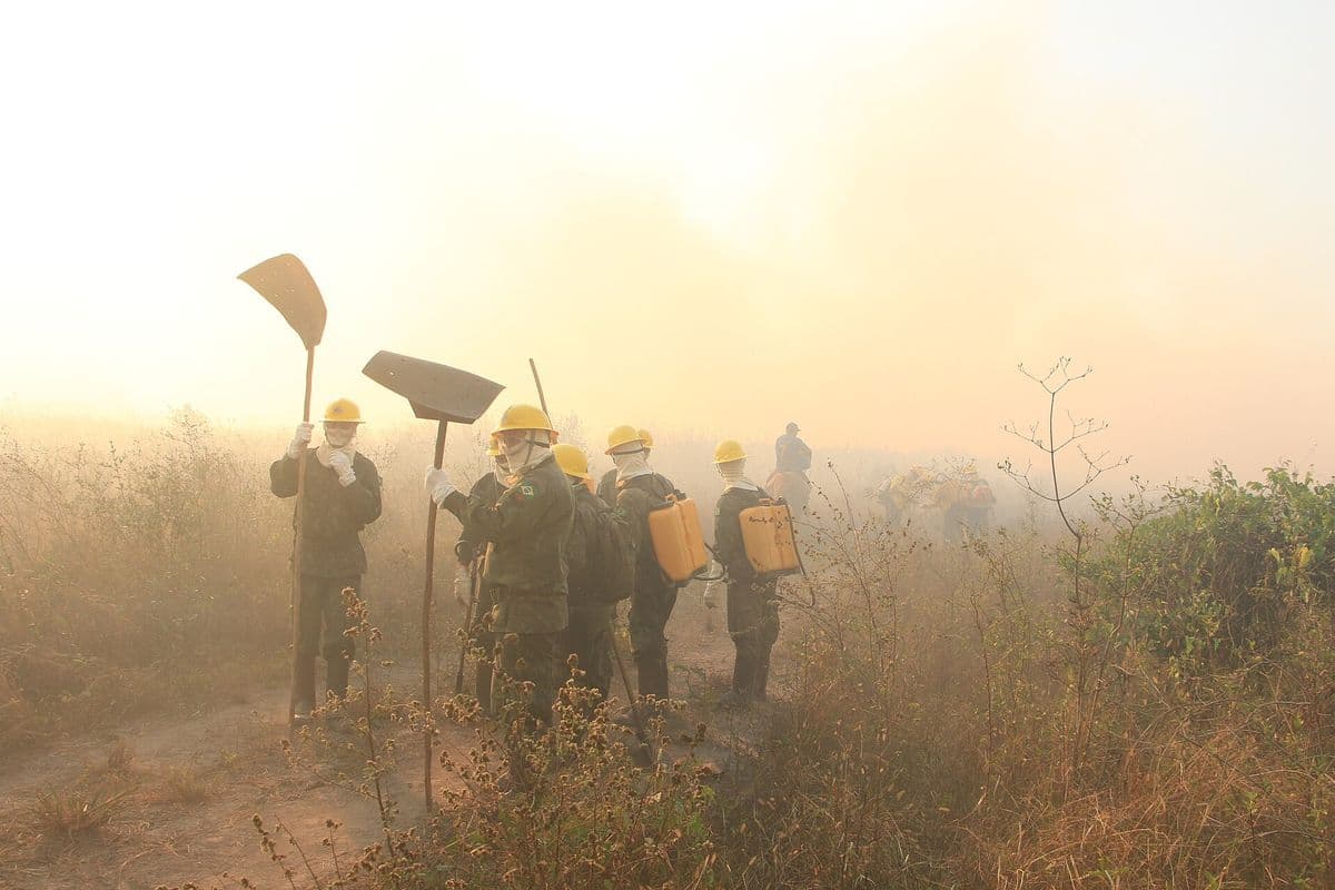 Grupo de militares com capacetes amarelos, máscaras e bombas costais segura abafadores em meio à fumaça densa sobre vegetação seca.