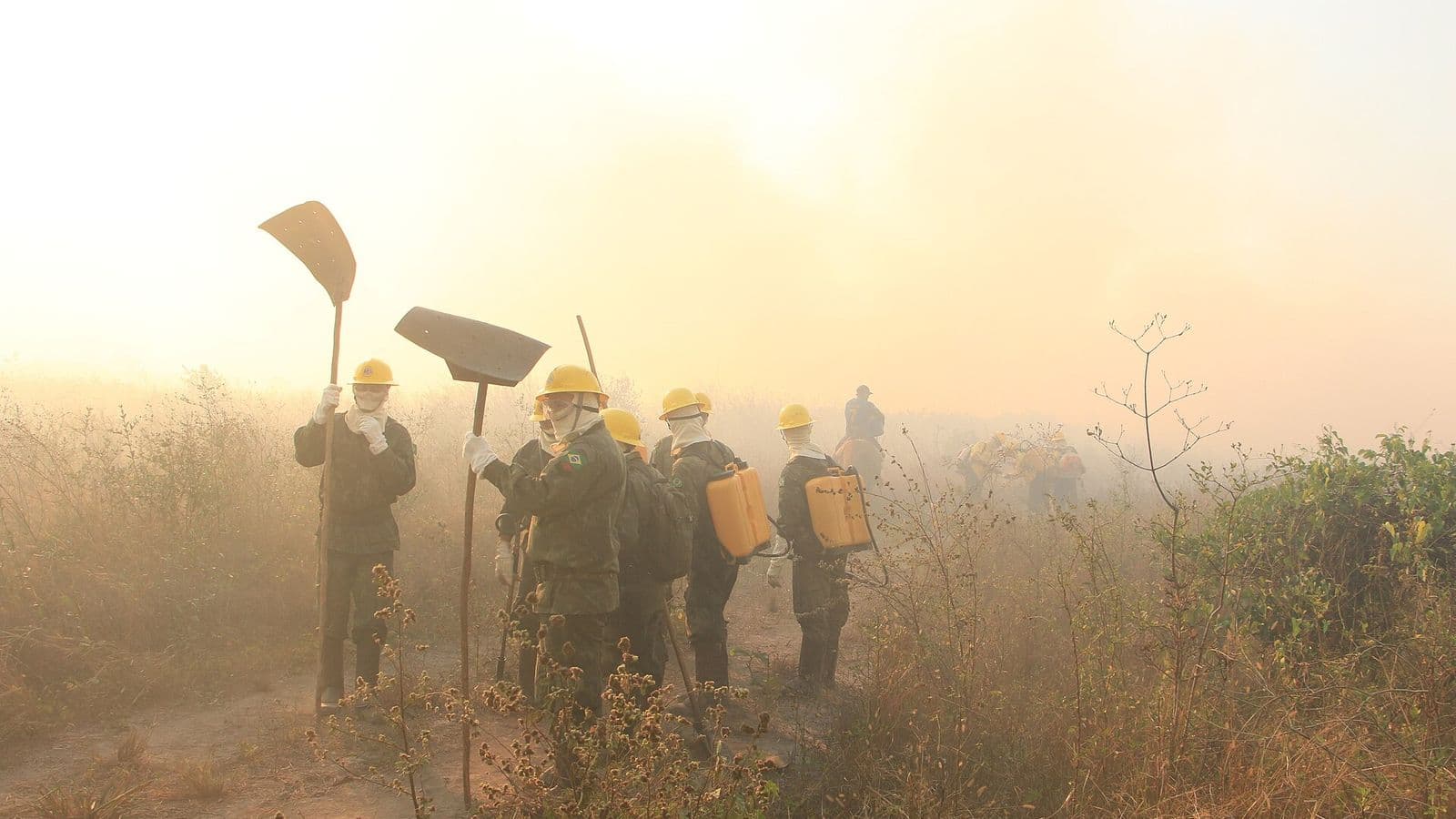 Grupo de militares com capacetes amarelos, máscaras e bombas costais segura abafadores em meio à fumaça densa sobre vegetação seca.