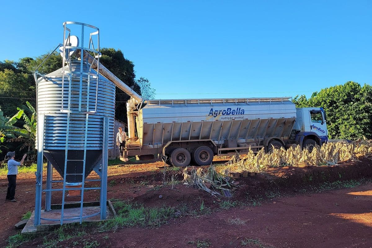 Caminhão graneleiro descarregando ração em um silo metálico vertical