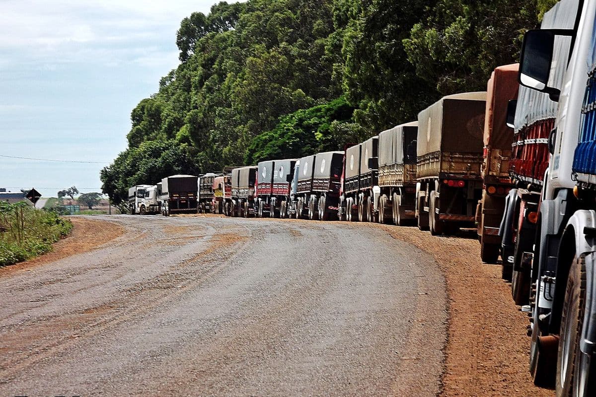 Longa fila de caminhões graneleiros cobertos por lonas parada no acostamento de uma rodovia de terra batida, ao lado de mata densa, sob céu nublado