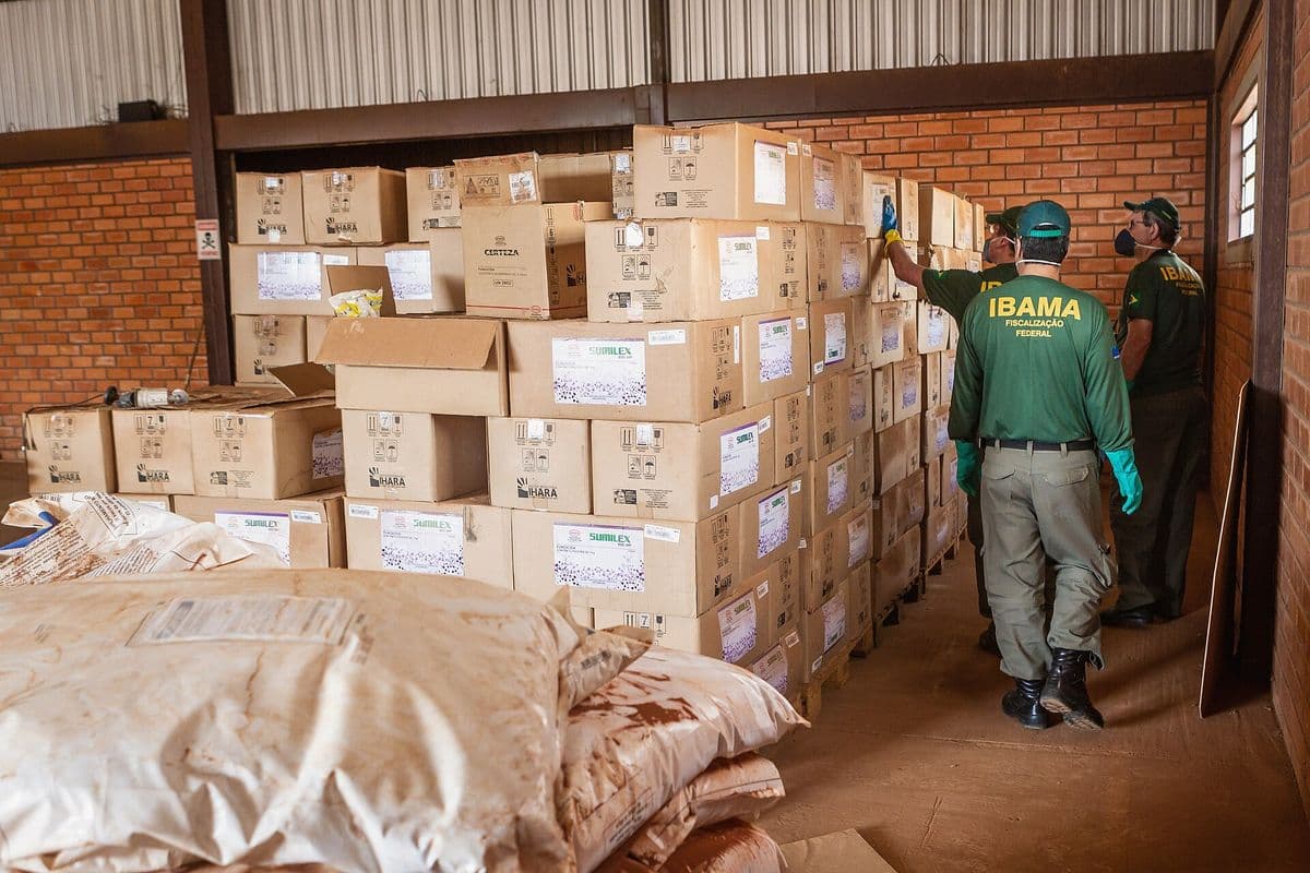 Três fiscais de uniforme verde com a inscrição Ibama examinam pilhas de caixas de papelão em um galpão de paredes de tijolo; em primeiro plano, sacos brancos empilhados.