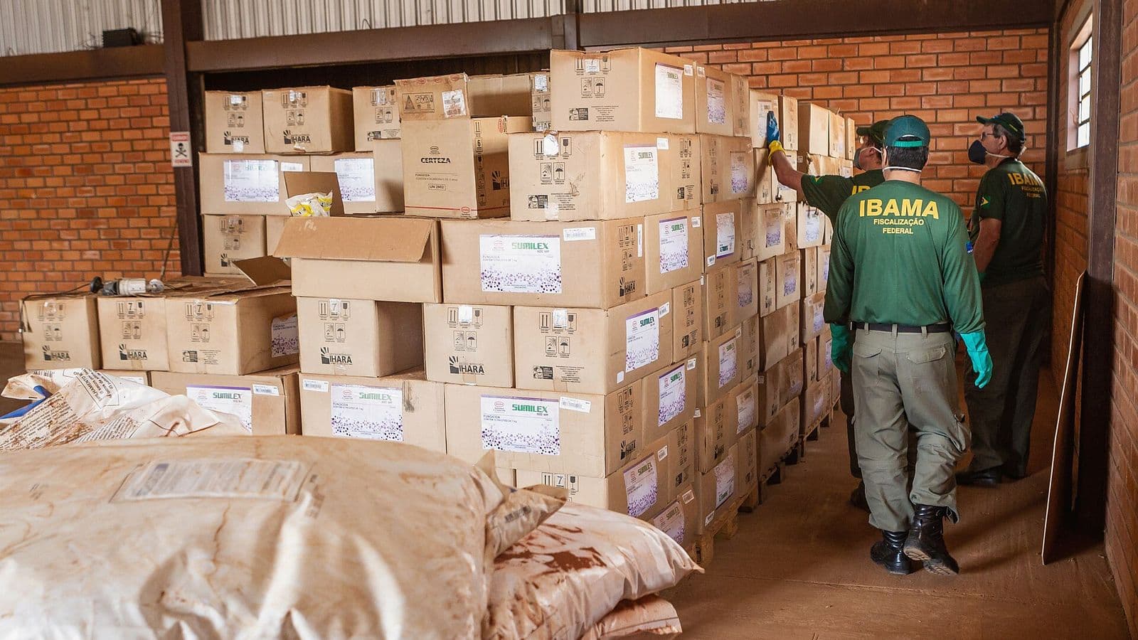 Três fiscais de uniforme verde com a inscrição Ibama examinam pilhas de caixas de papelão em um galpão de paredes de tijolo; em primeiro plano, sacos brancos empilhados.
