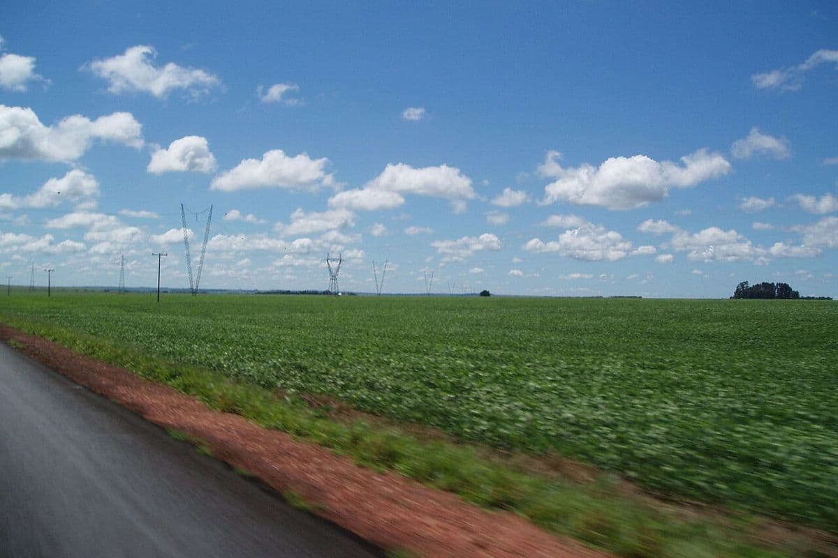 Lavoura de soja verde e plana à beira de uma estrada asfaltada com acostamento de terra vermelha, sob céu azul com nuvens e torres de linha de transmissão ao fundo