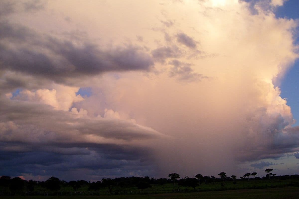 Grande nuvem de tempestade iluminada pelo fim de tarde despeja uma cortina de chuva sobre pasto com árvores esparsas