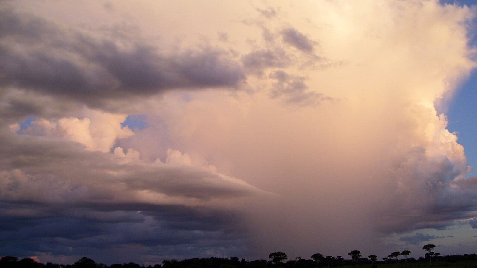 Grande nuvem de tempestade iluminada pelo fim de tarde despeja uma cortina de chuva sobre pasto com árvores esparsas