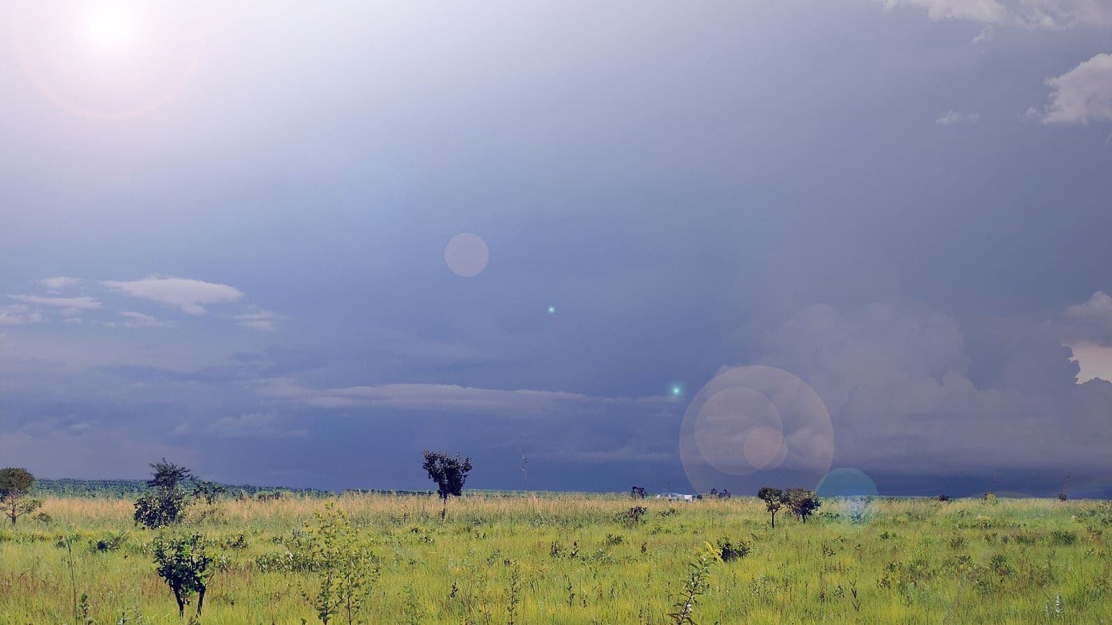 Campo de capim verde com árvores baixas e esparsas sob céu cinza-azulado carregado de nuvens de chuva, com o sol aparecendo no alto à esquerda