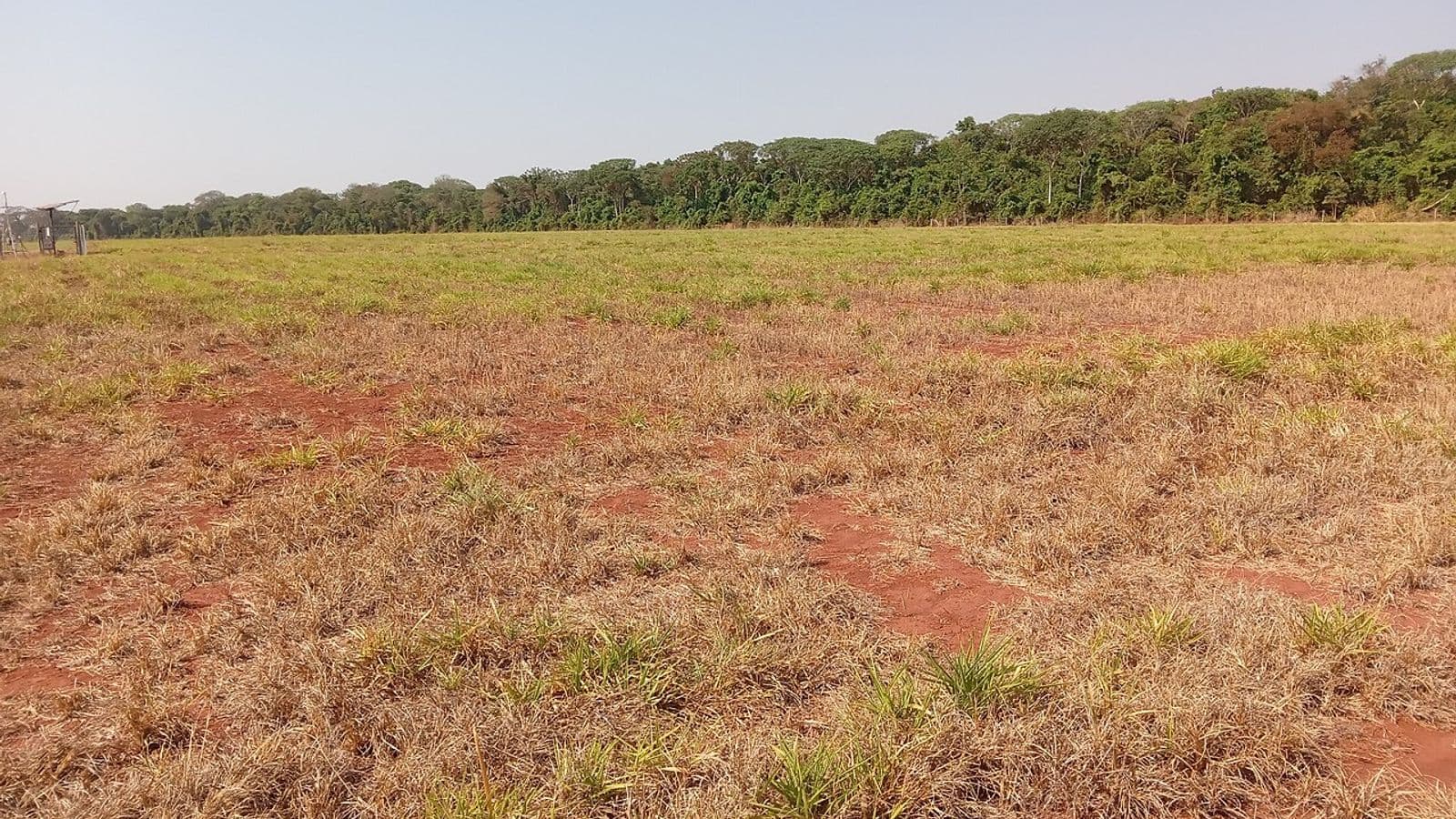Pasto seco e baixo sobre solo vermelho, com uma estrutura metálica de medição à esquerda e mata nativa ao fundo, sob céu claro
