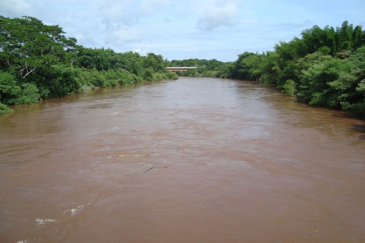 Rio largo de água barrenta marrom entre margens com mata densa, com uma ponte ao fundo