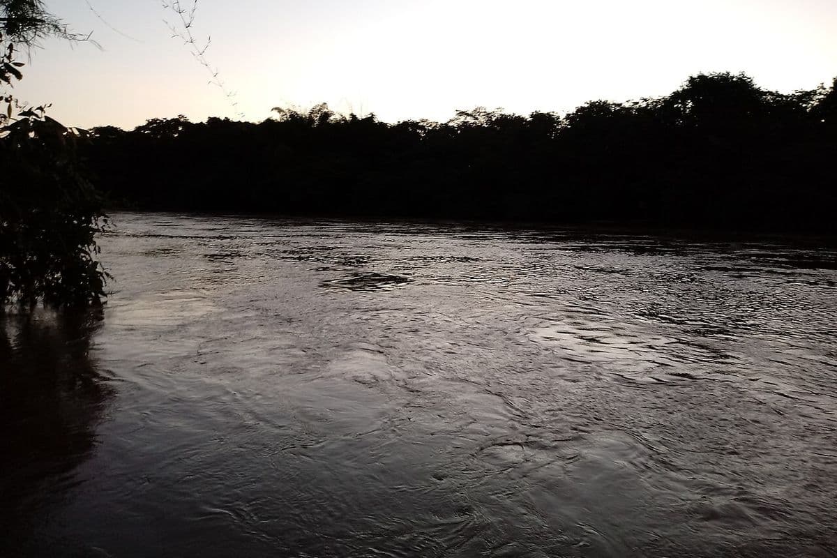 Rio Taquari com correnteza, ao entardecer, entre margens de mata ciliar escura