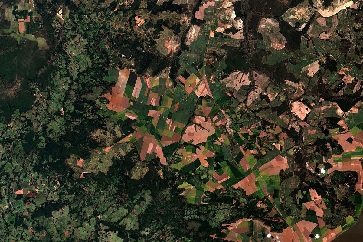 Imagem de satélite com talhões geométricos de lavoura em tons de verde e laranja, entremeados por manchas verde-escuras de vegetação nativa.
