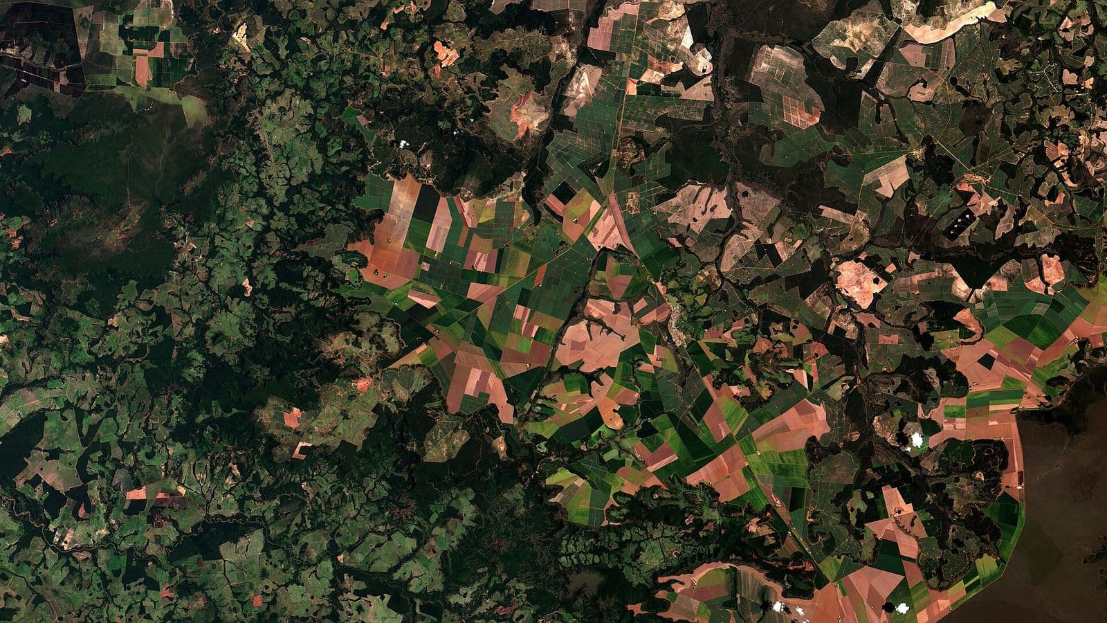 Imagem de satélite com talhões geométricos de lavoura em tons de verde e laranja, entremeados por manchas verde-escuras de vegetação nativa.