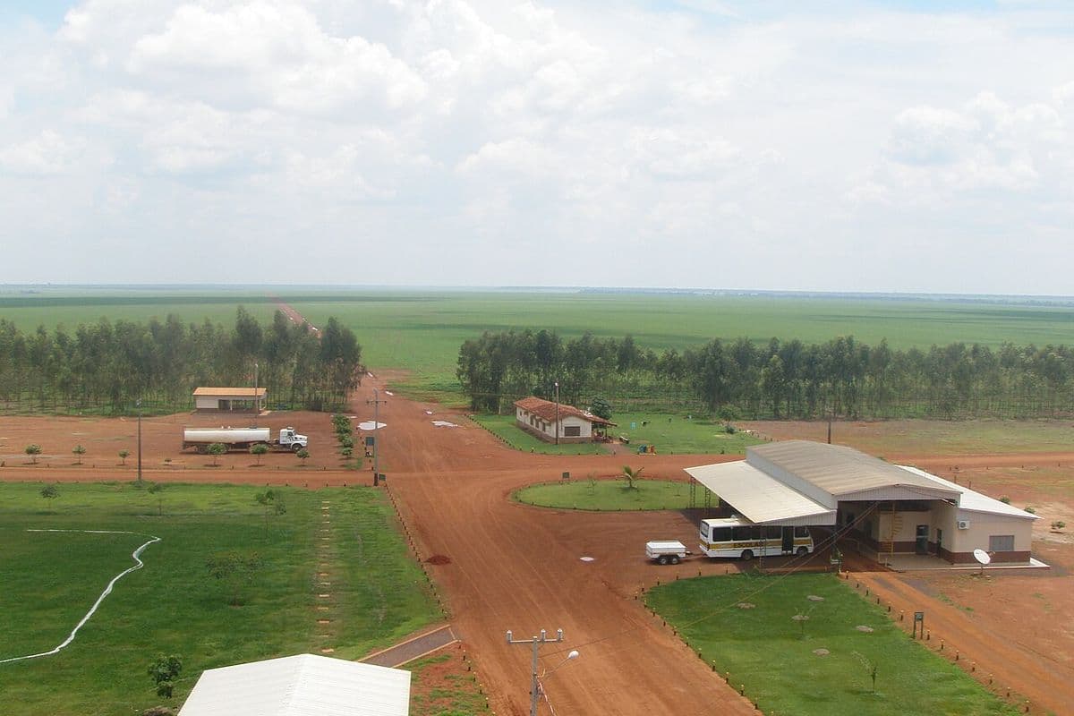 Vista do alto da sede de uma fazenda, com galpões, estradas de terra vermelha, fileiras de eucalipto e lavouras verdes até o horizonte