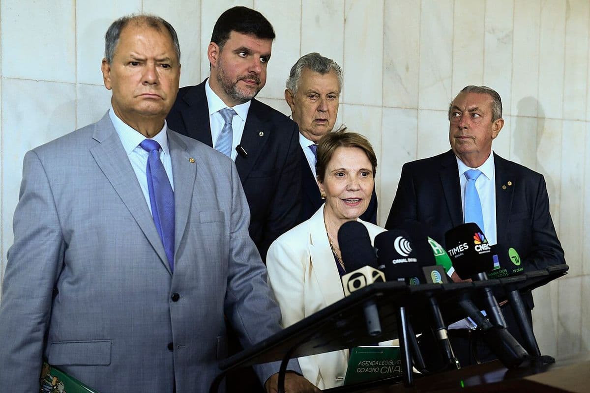 Senadora Tereza Cristina, de blazer branco, fala diante de microfones de emissoras, com quatro parlamentares de terno atrás dela