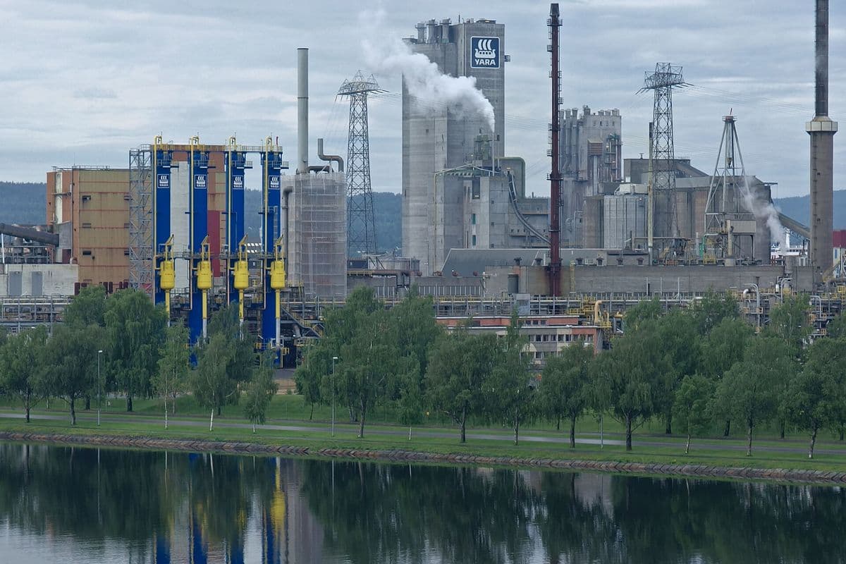 Complexo industrial à beira d'água com torre de concreto com o logotipo da Yara, chaminés soltando vapor e colunas azuis e amarelas, com fileira de árvores em primeiro plano