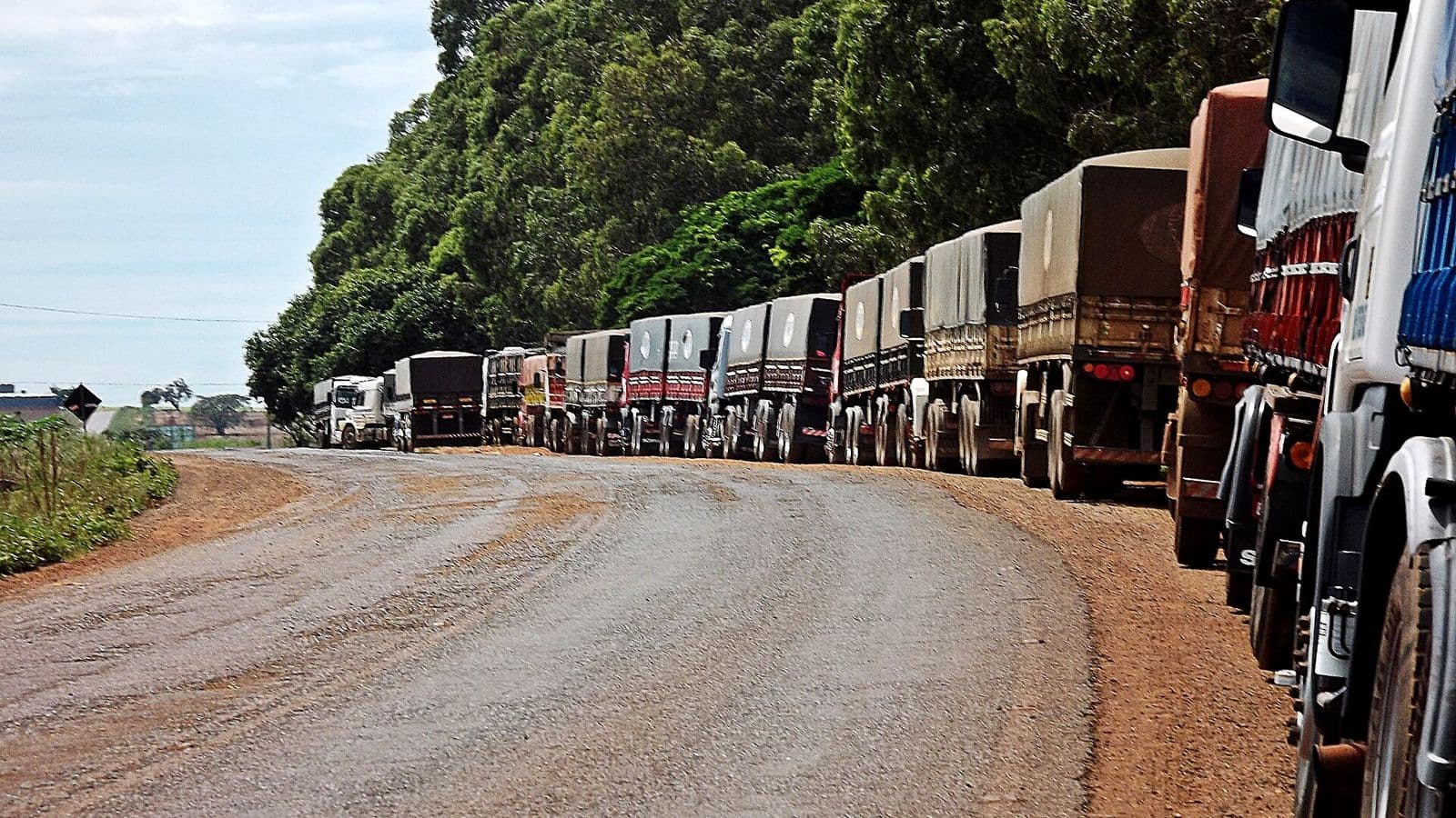 Longa fila de caminhões graneleiros cobertos por lonas parada no acostamento de uma rodovia de terra batida, ao lado de mata densa, sob céu nublado