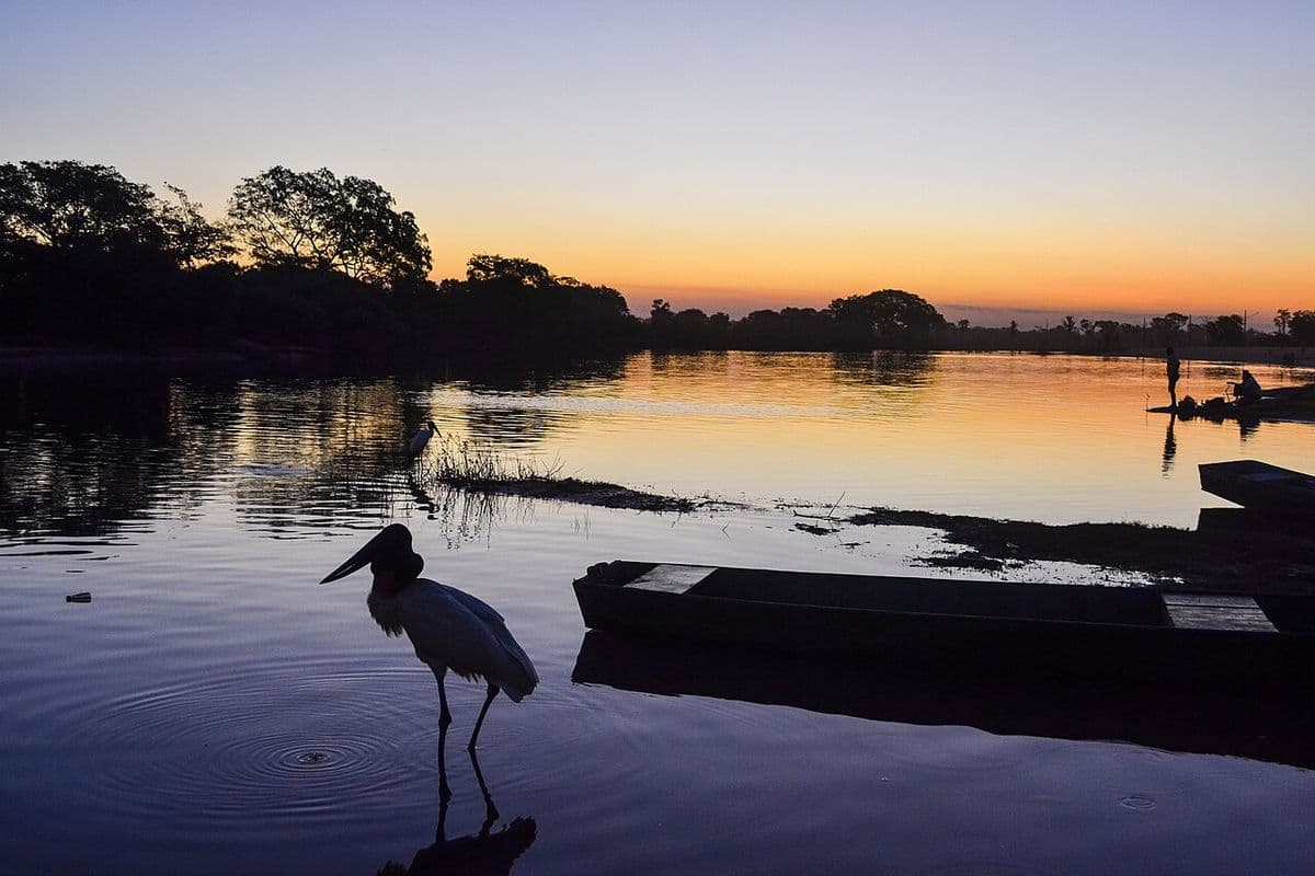 Tuiuiú em silhueta na margem de um braço do rio Paraguai ao pôr do sol, com canoas de madeira em primeiro plano e dois pescadores ao fundo