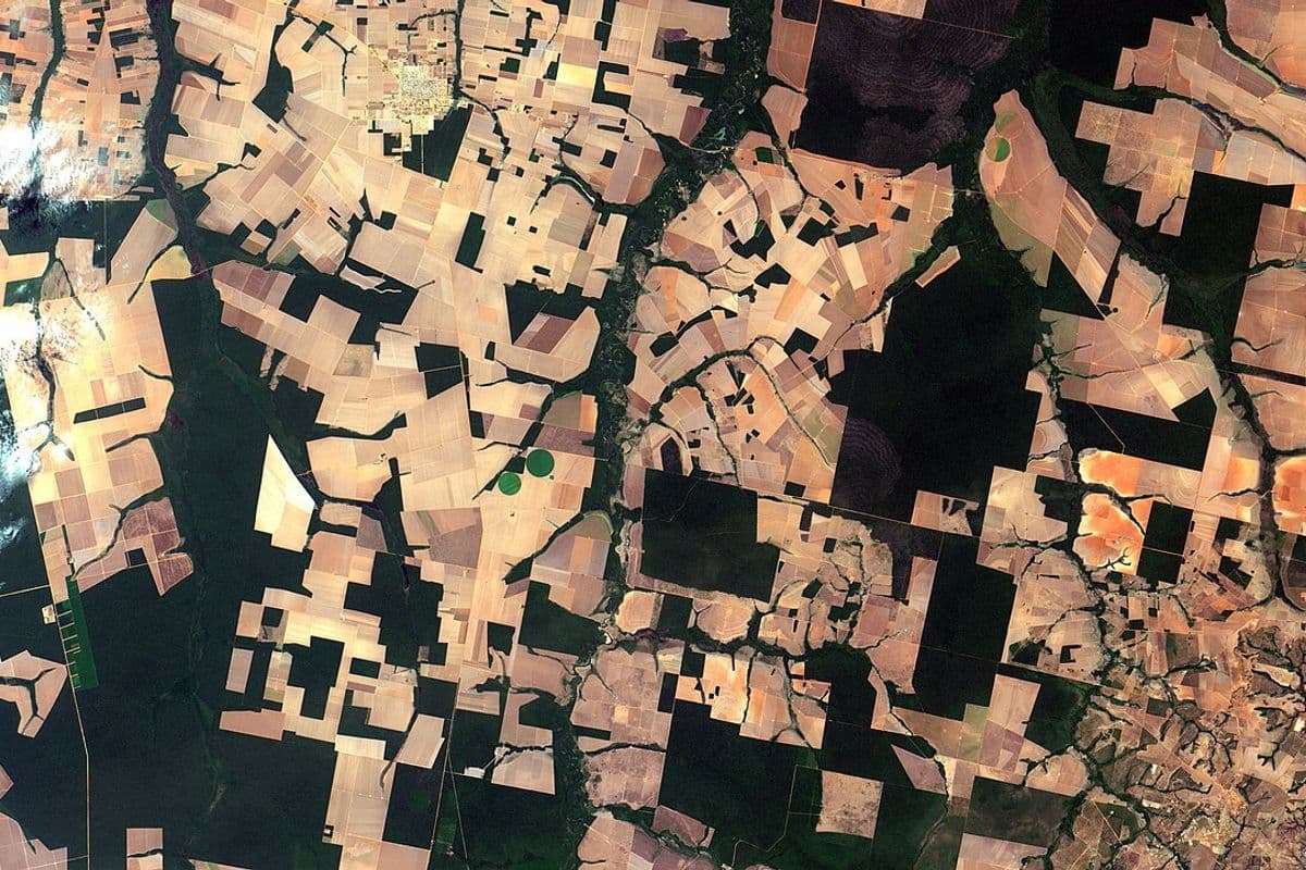 Imagem de satélite com talhões agrícolas em tons claros e alaranjados entremeados por faixas e blocos de floresta em verde-escuro