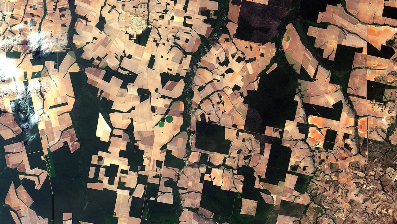Imagem de satélite com talhões agrícolas em tons claros e alaranjados entremeados por faixas e blocos de floresta em verde-escuro